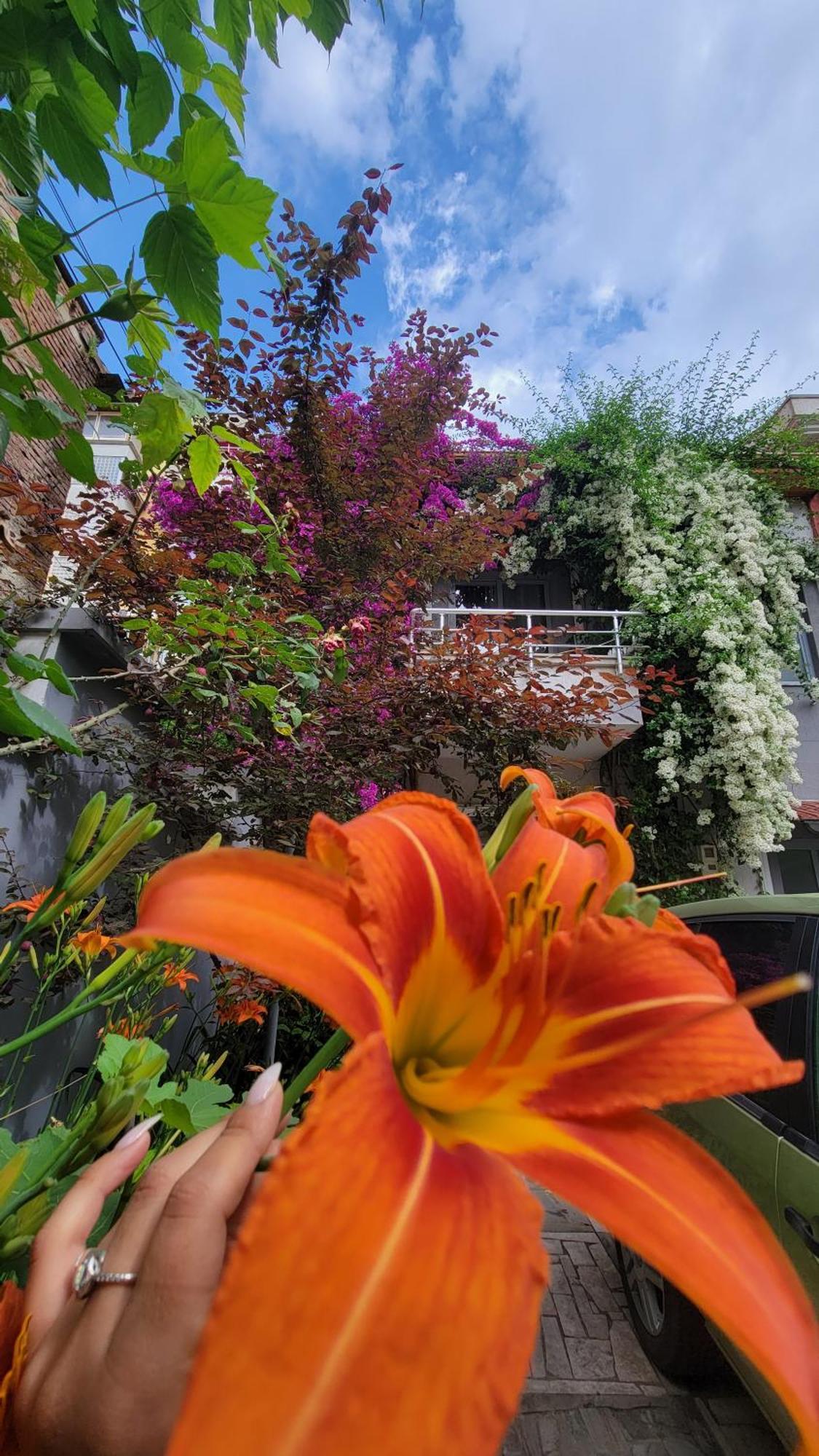 A Cheerful Villa With Free Parking Space Tirana Cameră foto